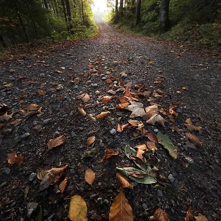 ホテル St Hubertus エック