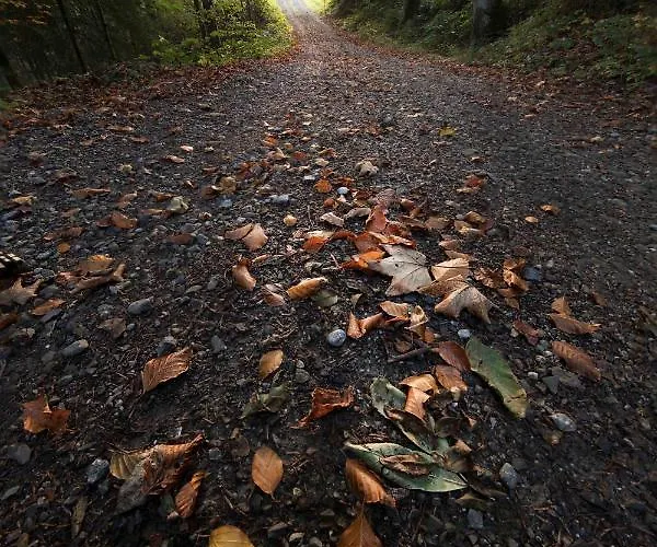 Hotel St Hubertus Egg